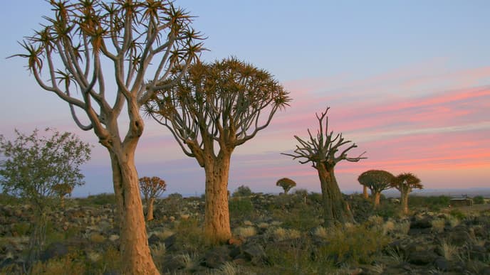 Drive To Keetmanshoop