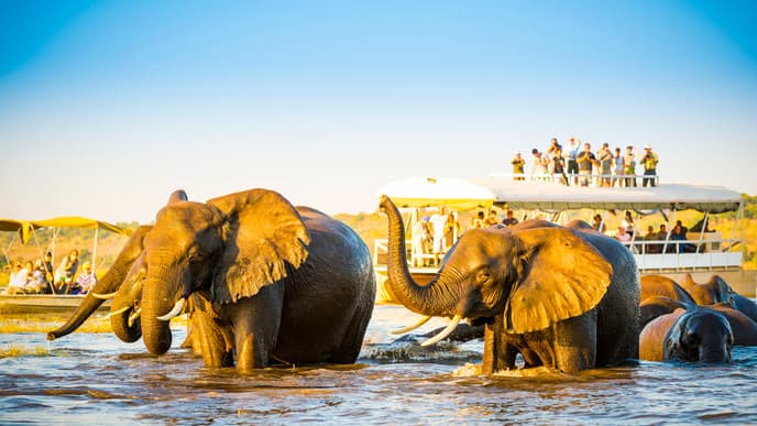 Bootsfahrt im Chobe-Nationalpark