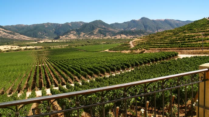 The Magic of the Colchagua Valley