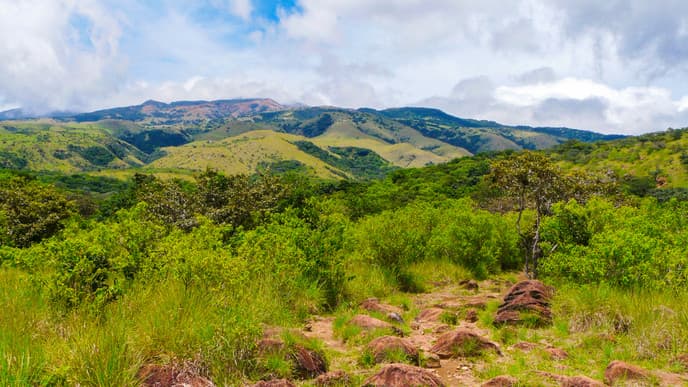 Cowboys, dry forests & volcanoes