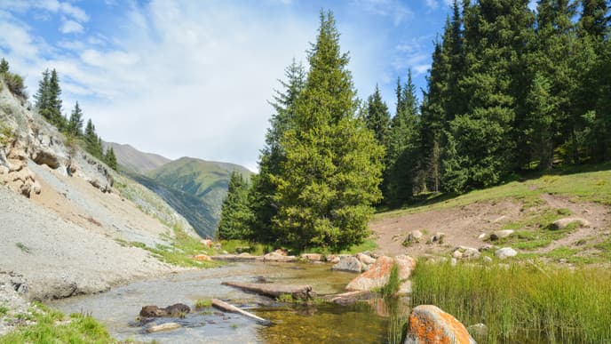 Live Life Like a Local in Kyz Art