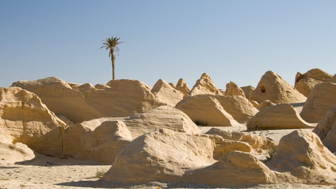 Unwind in the Saharan desert