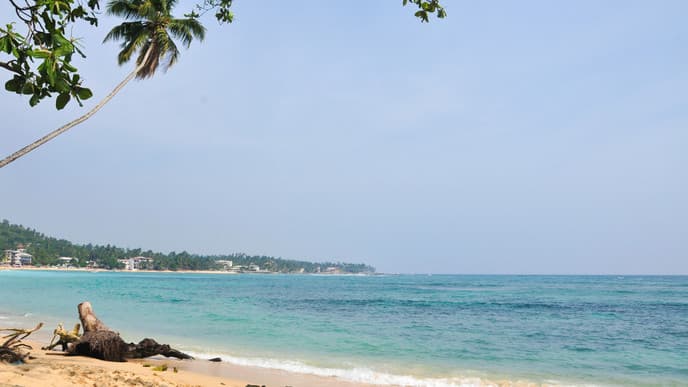 Die Seele baumeln lassen