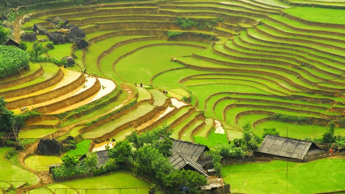 Discover Green Sapa