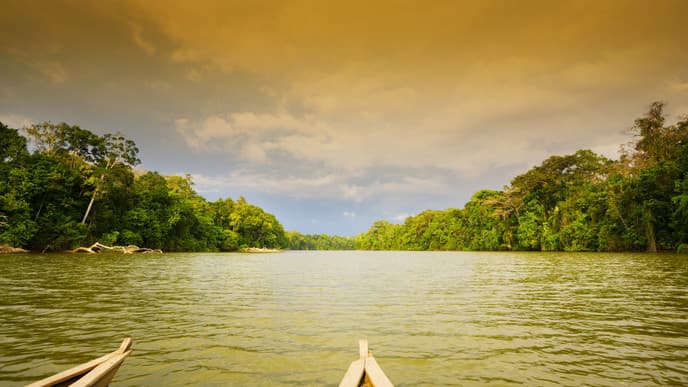 Magnificent jungle vistas