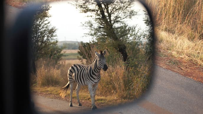 Romantischer Sonnenuntergang im afrikanischem Busch