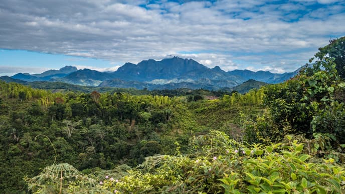 Inlandsflug zur reichsten Stadt der Insel