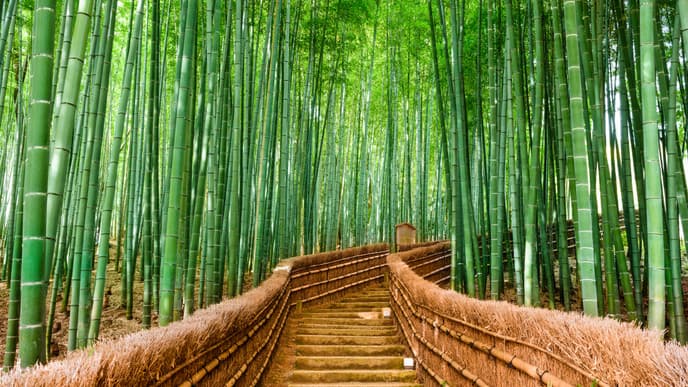 Free day of explorations & activities