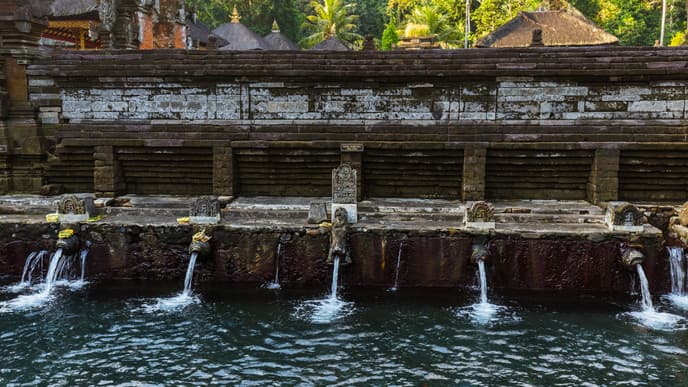 Monkey Forest and Water Temples