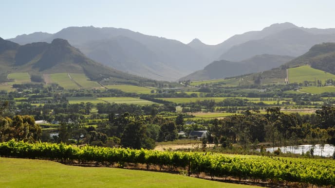 Ein perfekter Grillabend