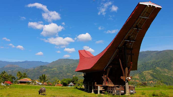Das Inselparadies Sulawesi wartet auf Sie!