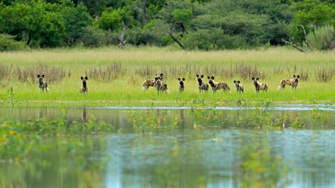 Touchdown in Botswana