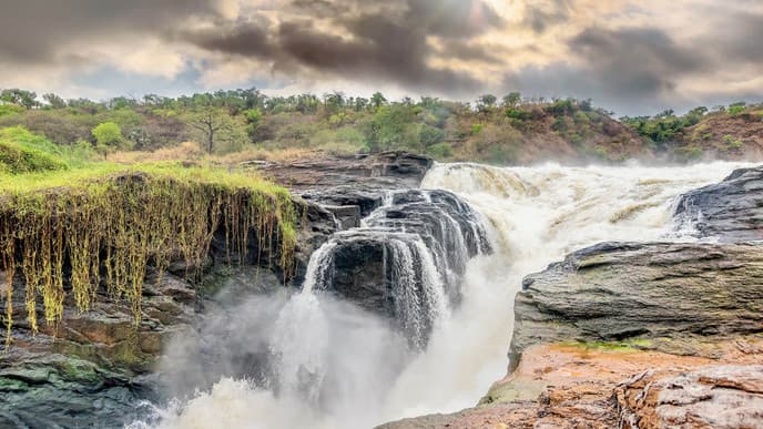 Reise zum Murchison Falls National Park