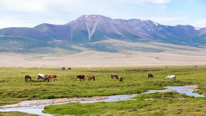 Get Lost in Otherworldly Canyons