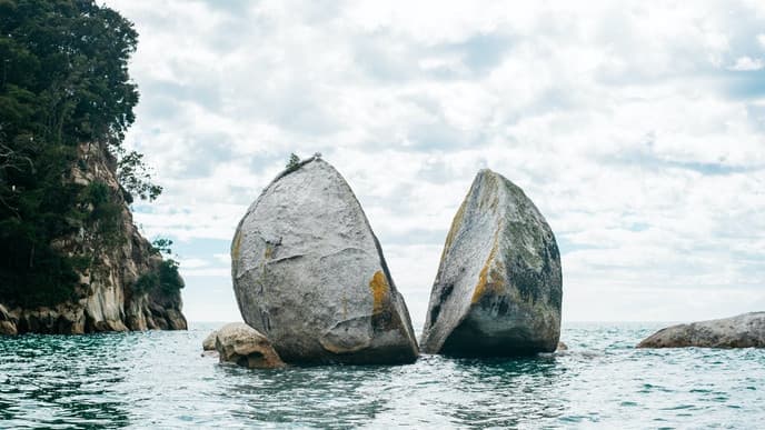 Sea kayaking & a scenic cruise