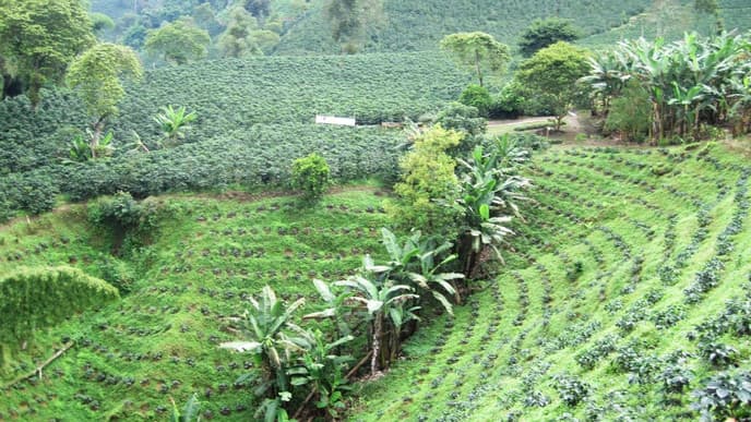 Kaffee- und Kakaoerlebnis