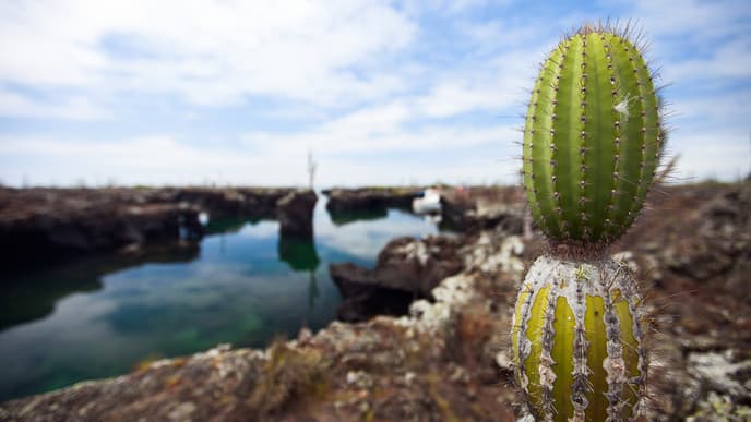 Hike Up The Sierra Negra Volcano