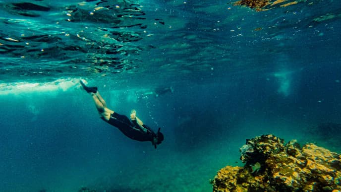 Snorkel in the waters off Isla del Caño