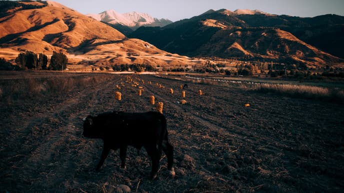 Hike to the serene pastures of Toru Aigyr