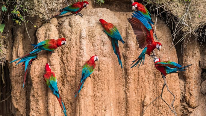 Hike through the virgin forest