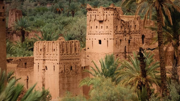 Journey to an oasis