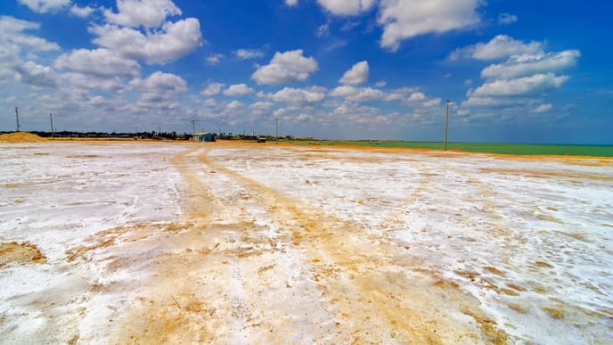 Deep-dive into indigenous culture