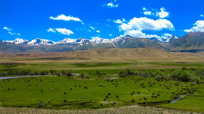 See How Yurts are Made