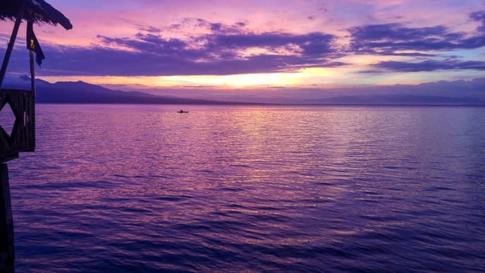 Whale sharks & Sumilon Island