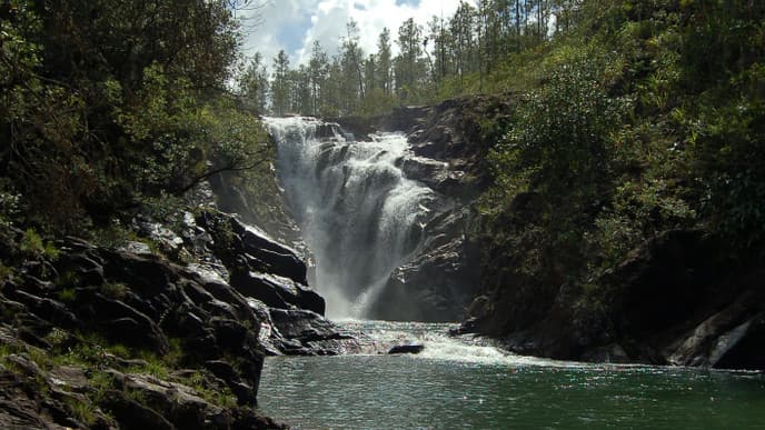 Journey to Mountain Pine Ridge