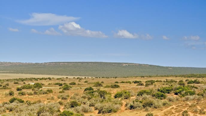 Im Addo Main Rest Camp