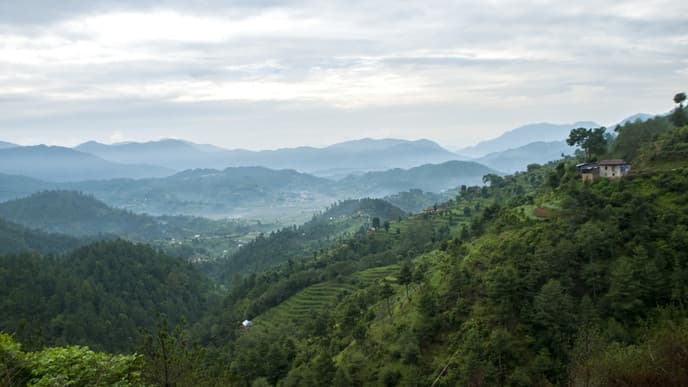 Explore the farmlands of Chitlang