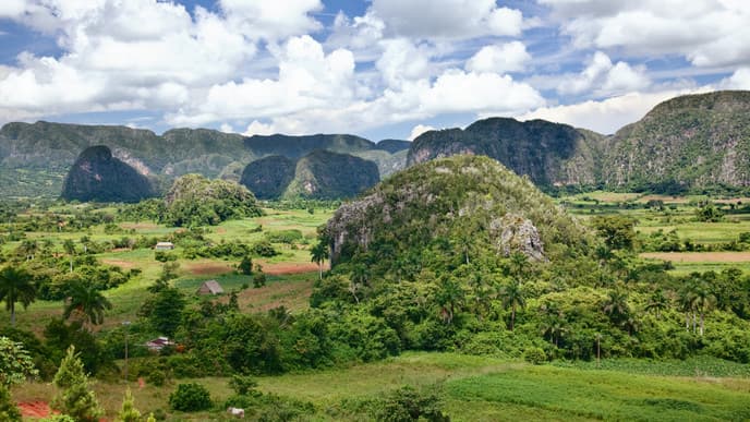 Explore the Stunning Viñales Region