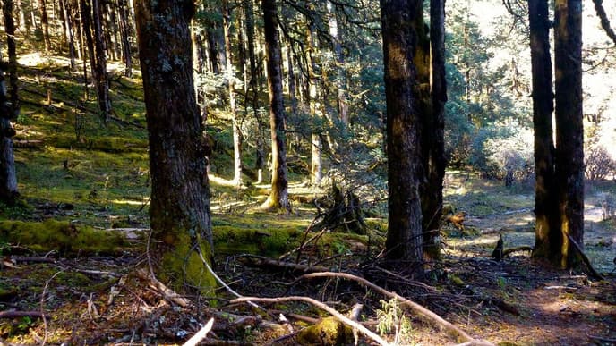 The Valley of the Sherpas