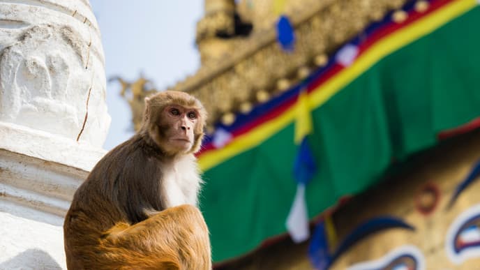 Explore Brilliant Kathmandu