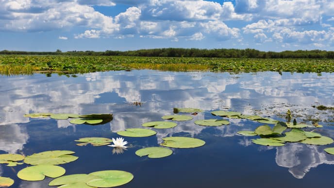Explore the Stunning Danube Delta