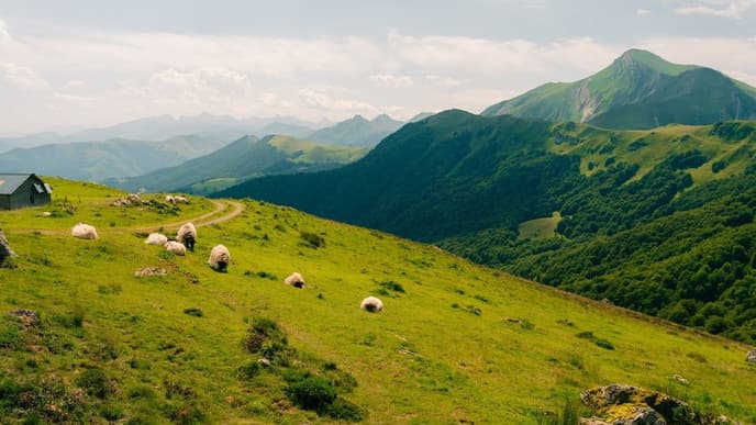 An off-grid adventure