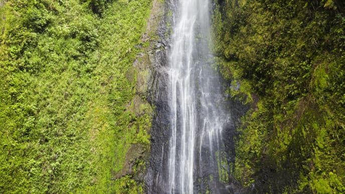 San Ramon Waterfall Hike & Swim