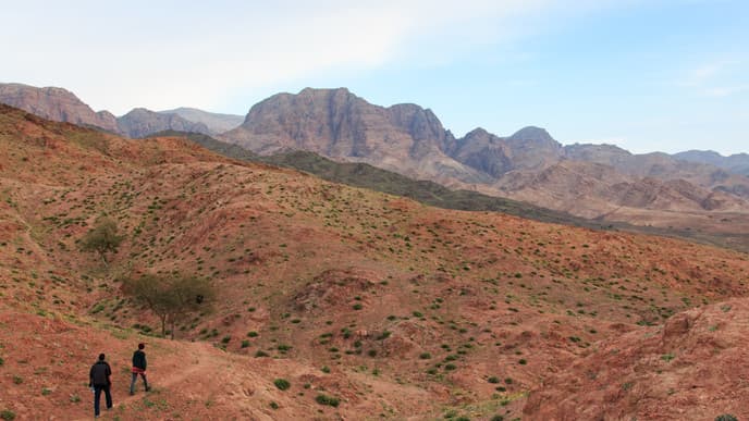 Camping in Wadi Araba