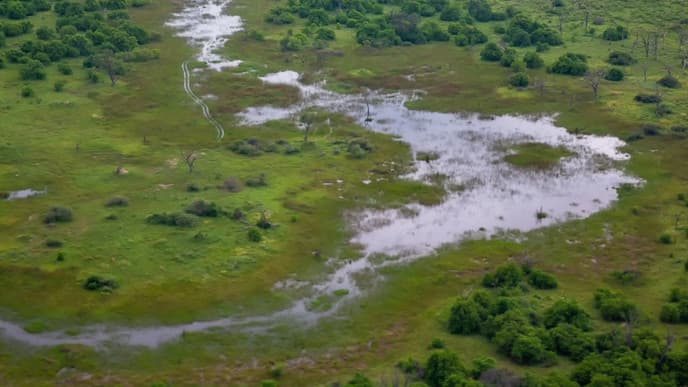 Die Insel der Häuptlinge