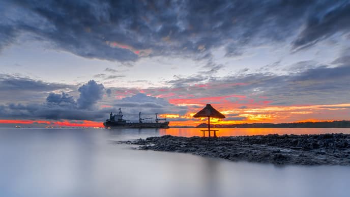 Sunrise & pink river dolphins