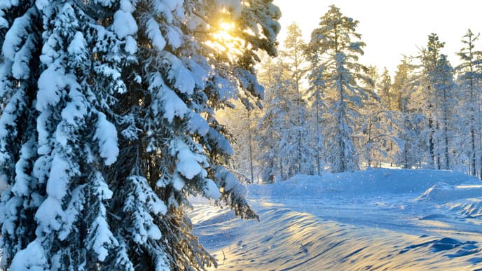 Farewell to winter wonderland