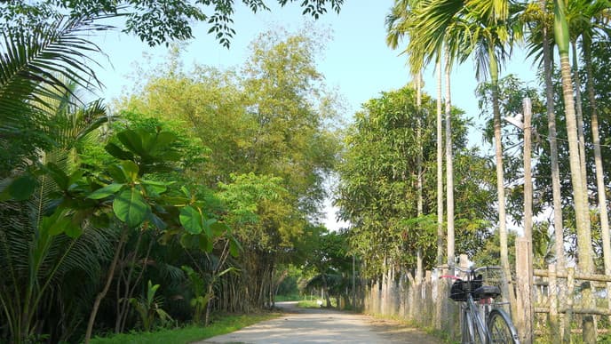 Countryside cycle tour