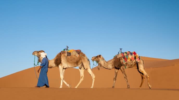 Sleep under the stars in the Sahara
