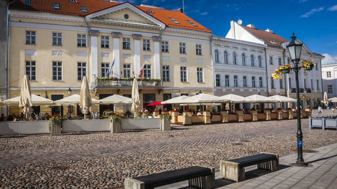 Fascinating Tour of Tartu's Culinary Scene