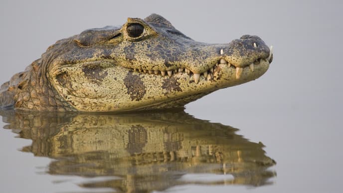 Relax on Lake Salvador
