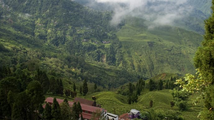 Tolle Aussichten auf der Fahrt nach Arughat