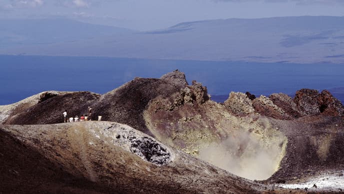 Return To Puerto Ayora