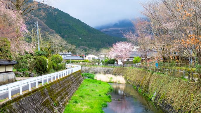 Morgennebel & Wasserfälle in Yufuin