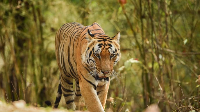 Explore the park's many riches