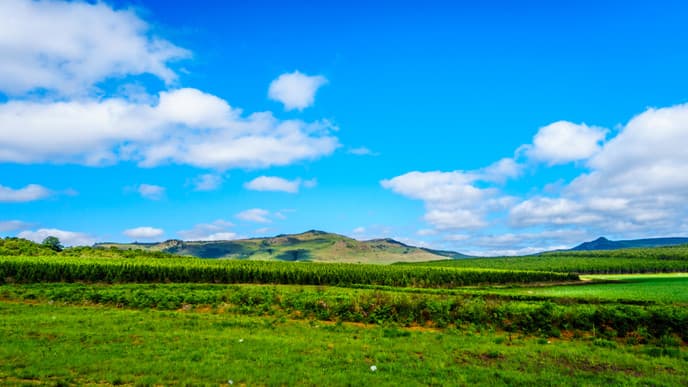 Zurück in Südafrika